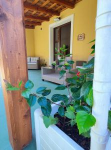 Alghero Resort Country Hotel & Spa