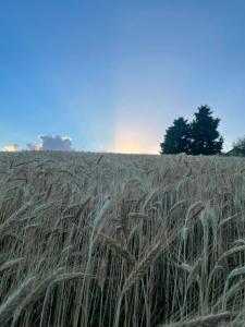 Casale Le Casole cuore in Umbria