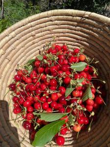 Casale Le Casole cuore in Umbria