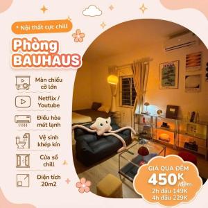 12 Homestay & Hotel