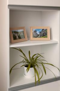 Apartament Szmaragdowy