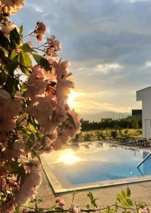 DREAM VIEW Saguramo