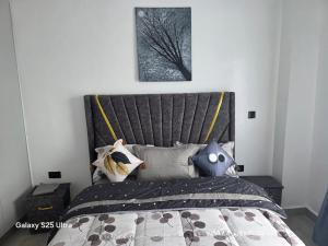 Kitusiru Falls Retreat,