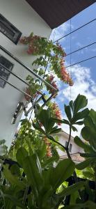 HT Homestay My Khe Beach 1