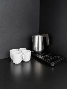 Biała Perła Apartament Czarna Góra 605