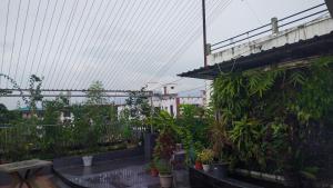 Garudas Perch
