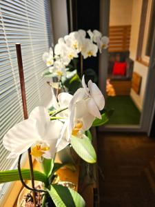 ART DOWNTOWN APARTMENt