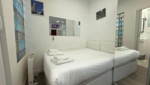 Centrally located flat in Madrid M80.8