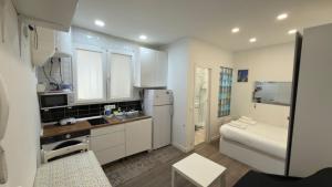 Centrally located flat in Madrid M80.8