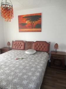 Apartma Qbed-Peaceful Retreat in Slovinan Istria