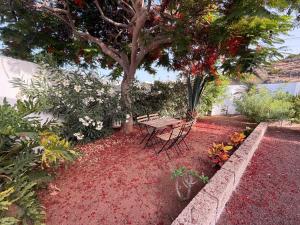 The Hidalgas cozy house