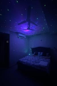 The aura house