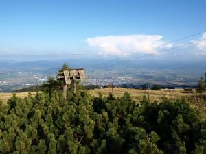 Summit View Apartment