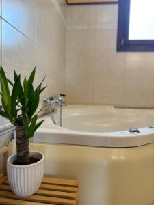 Terra Olea Villa Lefkada