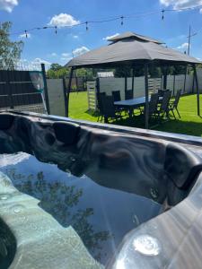 Mazurskie Niebo Apartament 1