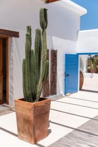 Boho Suites Denia