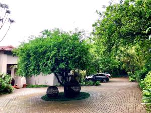 Ambience Inn White River