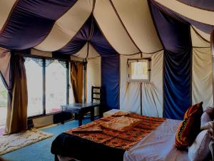 A Thousand & One Stars merzouga Camp