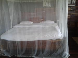 Ikoma Safari Lodge