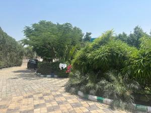 2BR luxury Villa with Private Pool in Sector 67 Gurgaon