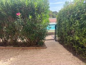 T1 bis 150 M de la plage Agosta avec piscine