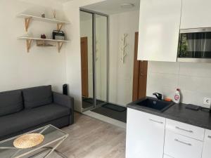 VILNIUS central apartmen