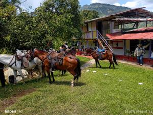 Finca de las banderas