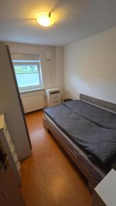 Apartma Olga