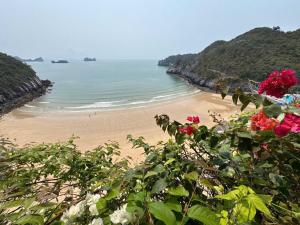 Little Leaf Ocean Suites at Flamingo Cat Ba