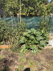 House with garden 5 minutes from Vichy idéal IronMan