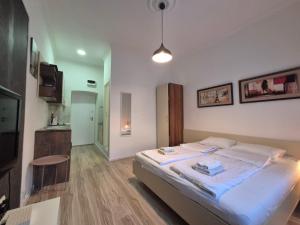 Studio near Klinički centar Srbije