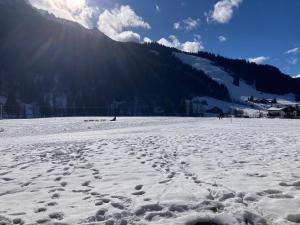 Flocon b - A02 - Alpin C