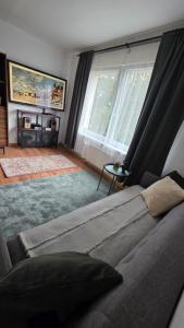 Bright and Cozy City Center Apartment