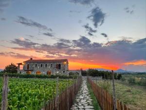Kulla Zefit Agritourism