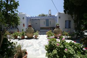 Prasino Oniro Tinos Greece