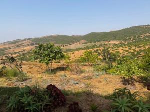 Nilamane