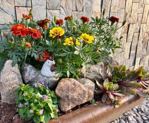 Ubytování Přimda