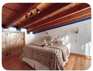 Casa Nautilis