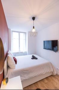 Le Greco - Appartement T3 Hypercentre Saint-Étienne