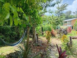 Jack Fruit House
