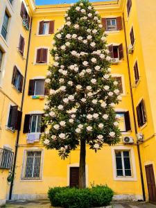 Il Cortile del 900