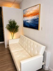 The orlando oasis