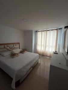 Condominio Roterdam