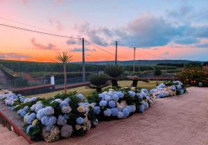 Moradia da Graça Guesthouse