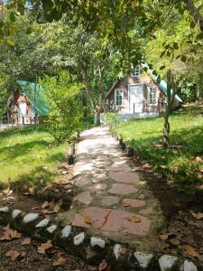 Campo Alegre