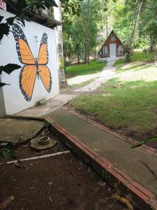 Campo Alegre