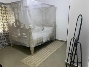 Roshni Apartments