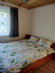 Cabana Zănoaga