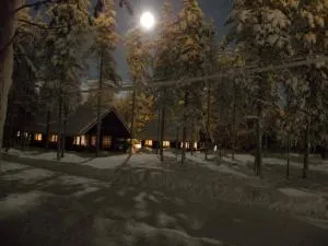 Pyhän Kortepuolukka - Kiemunkivaara