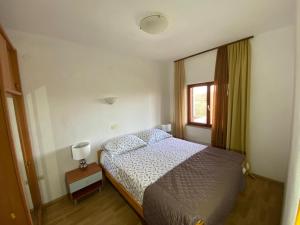 Apartments Ava